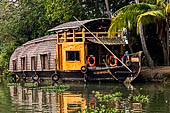 Kerala backwaters, our three hours neighborhood tour in the narrow canoe towards Vembanad Lake and along one of the  narrow canal running near our guest house at Kumarakom. 